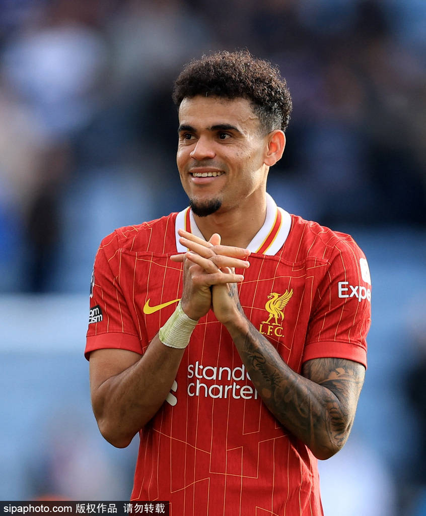 布罗比加盟 布罗比加盟